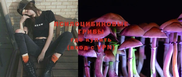 винт Армянск