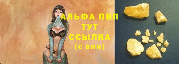 винт Армянск