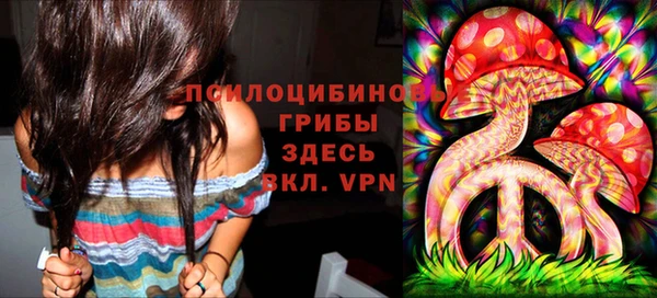 гидропоника Аркадак
