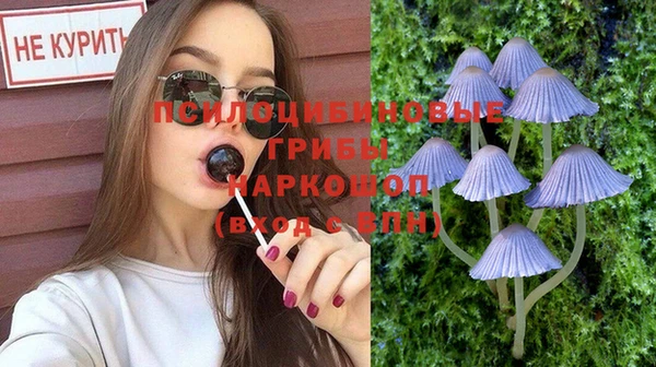 эйфоретик Арсеньев