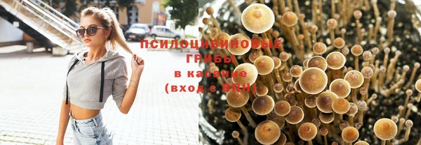 гидропоника Аркадак